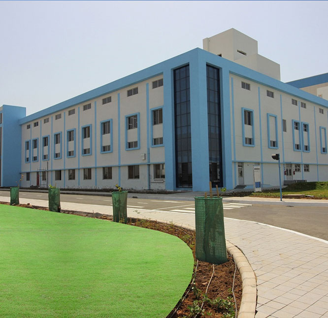 Technocraft Cotton Yarn - PMC